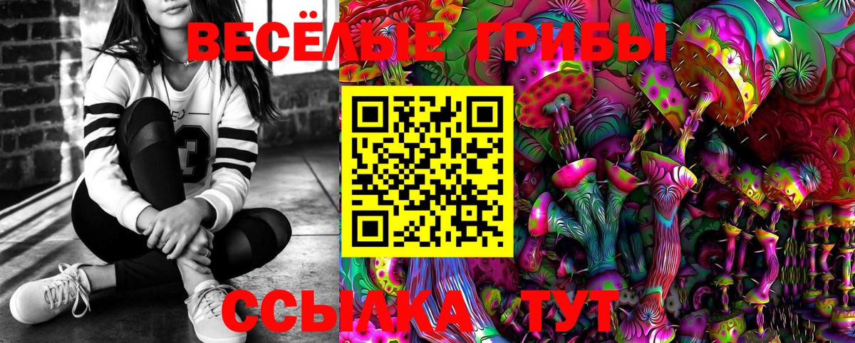 Псилоцибиновые грибы MAGIC MUSHROOMS  Вход с VPN  Гатчина 